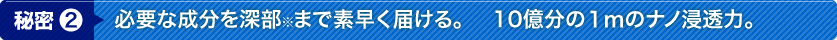 秘密2 必要な成分を深部※まで素早く届ける。　10億分の１ｍのナノ浸透力。 ※角質層まで浸透