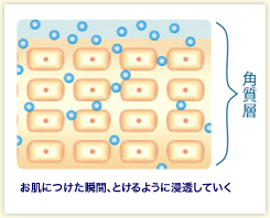 お肌につけた瞬間、とけるように浸透していく