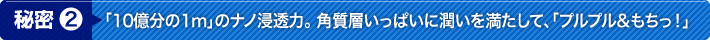 秘密2 「10億分の1m」のナノ浸透力。 角質層いっぱいに潤いを満たして、「プルプル&もちっ！」