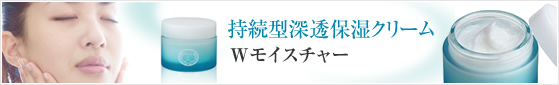 持続型浸透保湿クリーム Wモイスチャー