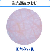 泡洗顔後のお肌 正常なお肌