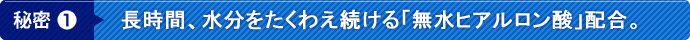 秘密1 長時間、水分をたくわえ続ける「無水ヒアルロン酸」配合。